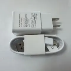 未使用新品タイプC充電器ケーブル ACアダプター LIL HYBLID アダプタ