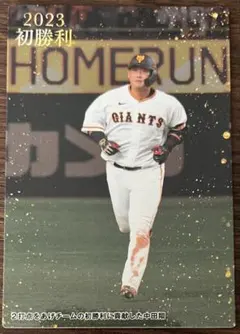 Item thumbnail for item 3108d075-6560-4caf-9ffe-56533350a415