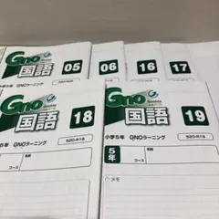 グノーブル 6年生 夏季講習 国語テキスト 全16回分 - メルカリ