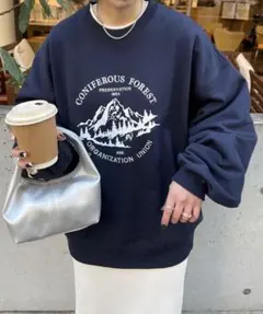 DISCOAT 刺繍ロゴモチーフビッグスウェット 山 刺繍スウェット 裏毛