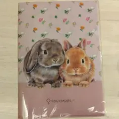 YOU+MORE! & felissimore クリアファイルセット