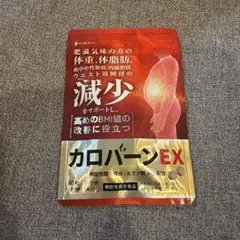 【新品未開封】カロバーンEX 30日分 肥満気味の方の体重 体脂肪の減少を助けるのサムネイル