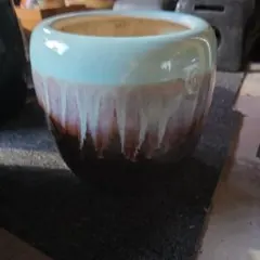 陶器製 水鉢 睡蓮鉢 グラデーションカラー
