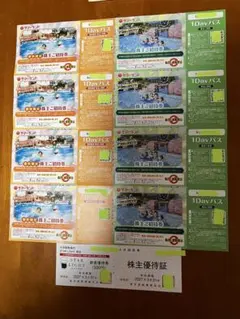 東京都競馬株主優待 東京サマーランド 1Dayパス 8枚セット - メルカリ