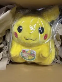 ポケモン30周年記念おかえり!ピカチュウ1/1