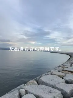 たぬきちさん専用です。のサムネイル