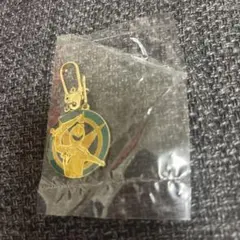 爆竜戦隊アバレンジャー ピンバッジ　ミニキーホルダー