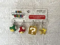 スーパー・ニンテンドー・ワールド　チャームセット　めじるしアクセサリーのサムネイル