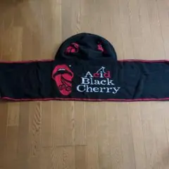 AcidBlackCherryフード付きタオル