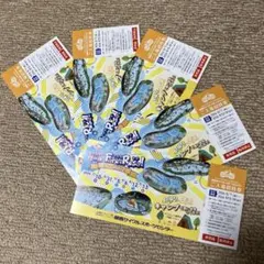 関西サイクルスポーツセンター ご入場招待券 (入場無料券)5枚(5名分)セットのサムネイル