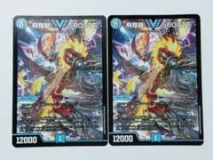 2026年最新】5000vt 2枚の人気アイテム - メルカリ