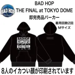 Item thumbnail for item 81e1000a-9c88-4f81-aef3-b1baa6cfb942