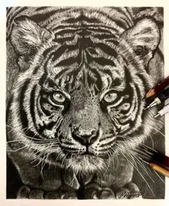 虎 鉛筆画 虎鉛筆画」のアイデア 11 件 | 虎, 鉛筆画, 動物