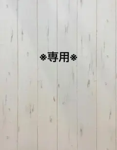 ※専用※ ビオトープ【ワインレッド】 20.5cm×10.2cm ４００枚