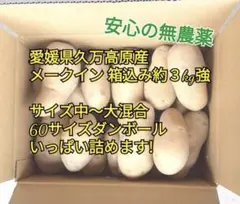 【天空の郷久万高原】老舗農家自慢　新じゃがいも メークイン 60サイズいっぱいのサムネイル
