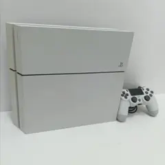 1m6392b3r 動作OK プレステーション4 本体一式 ソニー ホワイト