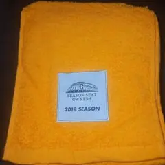 ジャイアンツ2018シーズン オレンジタオル 10枚セット