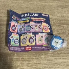 大たまごっち展　やんぐまめっち　ガチャガチャ ミニチュアチャームコレクション