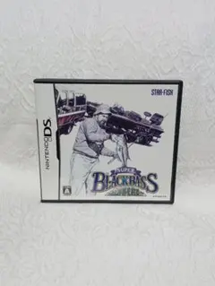 DS ニンテンドーDS スーパーブラックバス 北半球を釣る レトロ ゲームソフト