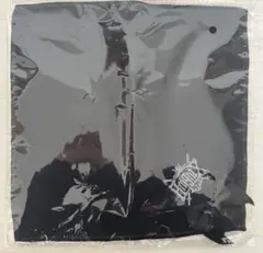 Item thumbnail for item d6abf2ab-0e29-40af-84d5-d477c8fd92b0