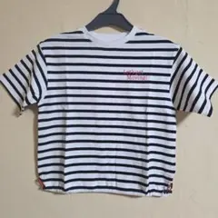 新品 BREEZE ボーダーTシャツ 110cm