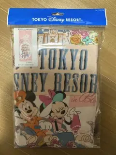 【新品未使用】東京ディズニーリゾート ミッキーミニーフェイスタオル