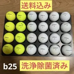 Titleist ゴルフボール 24個 ロストボール