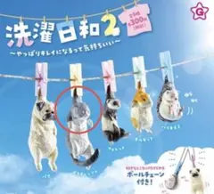 つーくん様 リクエスト 2点 まとめ商品