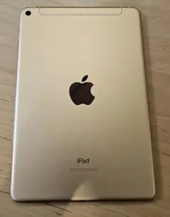 限定値下げ〉iPad mini 第5世代 64GB【バッテリー最大容量93%】 - メルカリ