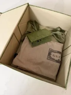 GUCCI✨グッチ グリーン　マグネット式空箱　エンボス加工　保存袋　リボン