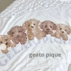 geato pique ジェラートピケ　トイプードル　ジャガード　ブランケット