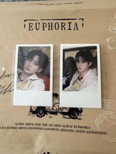 ALD1 アンシン ポロライド2枚セット