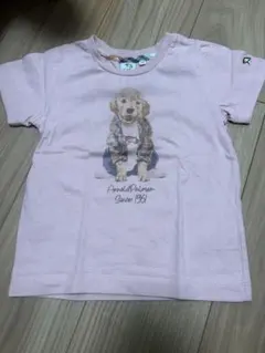 アーノルドパーマー Tシャツ 105cmゴールデンレトリーバー