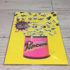 嵐ライブパンフレット Popcorn