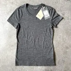 新品 アイスブレーカー icebreaker メリノウール100% 半袖Tシャツのサムネイル