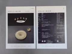 Item thumbnail for item 67c0fae2-6cb6-4633-93e7-e8cc7d07367f