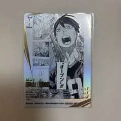 ハイキュー‼︎ バボカ 影山飛雄 頂P