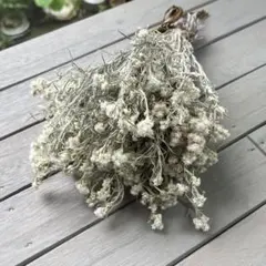 Item thumbnail for item 27e7d6ea-a969-4c40-9345-ac8745bb8e8e