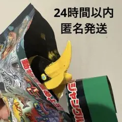 新品未接触　ジャングル&co．アンドコ　オオサイチョウ　デアゴスティーニ