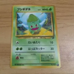 フシギダネ 旧裏 イントロパック 良品 最安値 即日発送 ポケモンカード