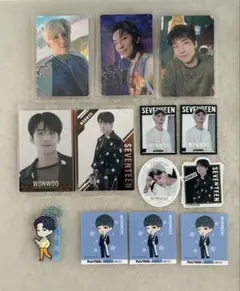 SEVENTEEN WONWOO ウォヌ まとめ売り