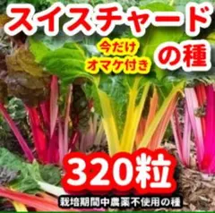 ponta2874様 リクエスト 2点 まとめ商品