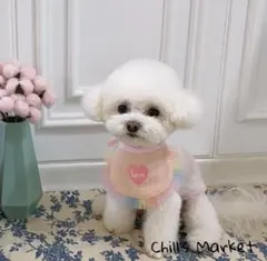 ペット スタイ よだれかけ ピンク 青 ドレス 撮影会 犬の服 犬服 犬 服