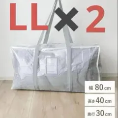 【２点】クリアボックスバッグLL 収納　掃除　スリーコインズ