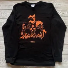 Item thumbnail for item 1deea1ef-5bfe-49de-8168-6f3298e0fefd