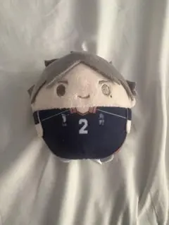 ハイキュー 菅原孝支 ふわコロりん