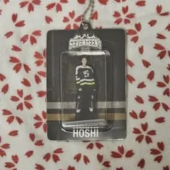SEVENTEEN's HOME 2025 アクリルキーリング HOSHI