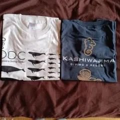 Item thumbnail for item 4e8e7edd-759d-4d81-961c-b151d110c0d1