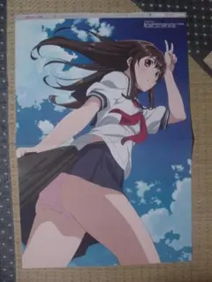 フォトカノ(新見遙佳)、ハヤテのごとく!(マリア 水着) 両面ピンナップポスター