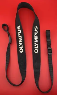 Item thumbnail for item 923fd5f5-23ab-45de-9ce6-7a3f4b2cc409